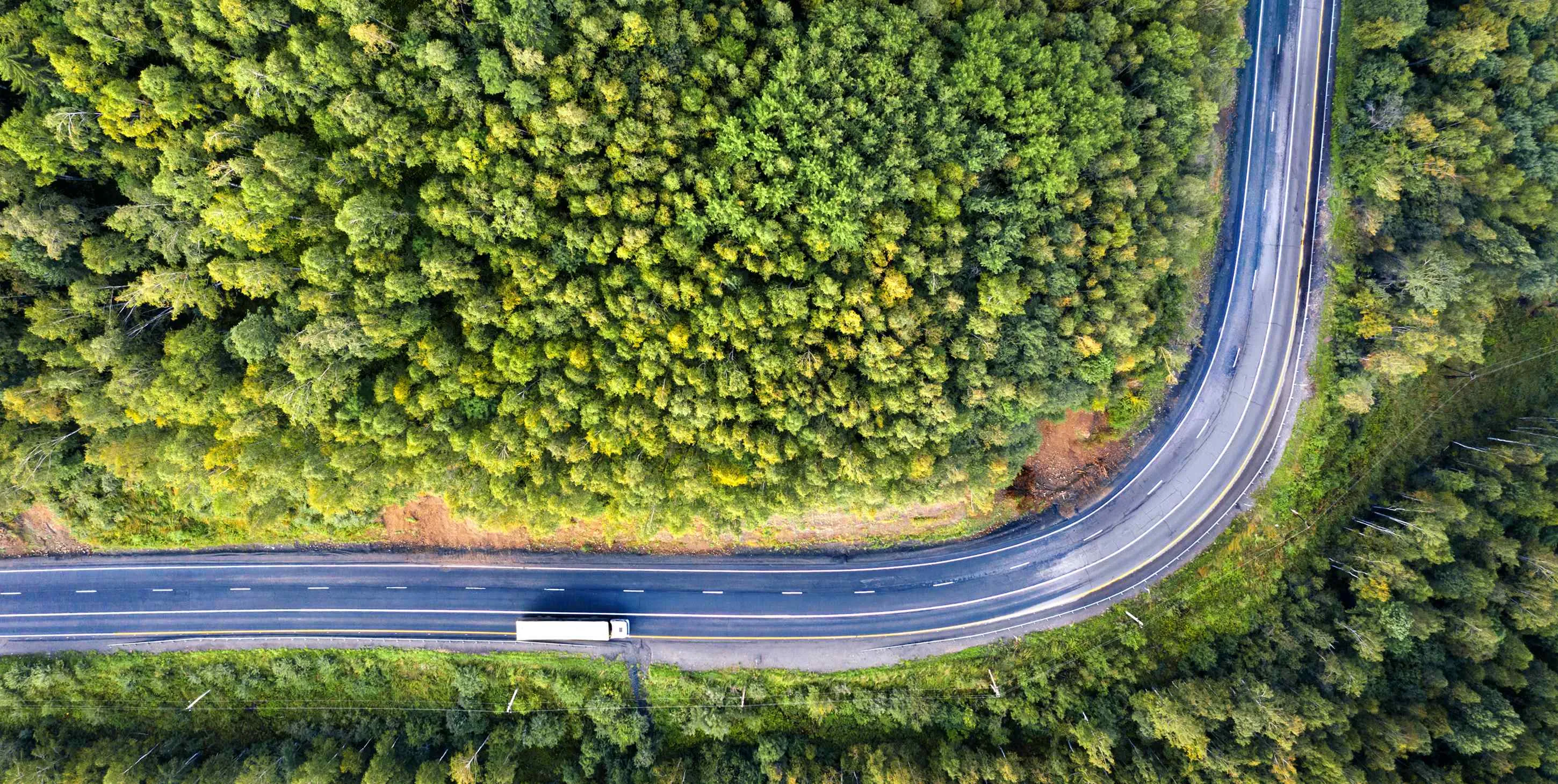 Top down aerial view of mountain road curve among green forest trees